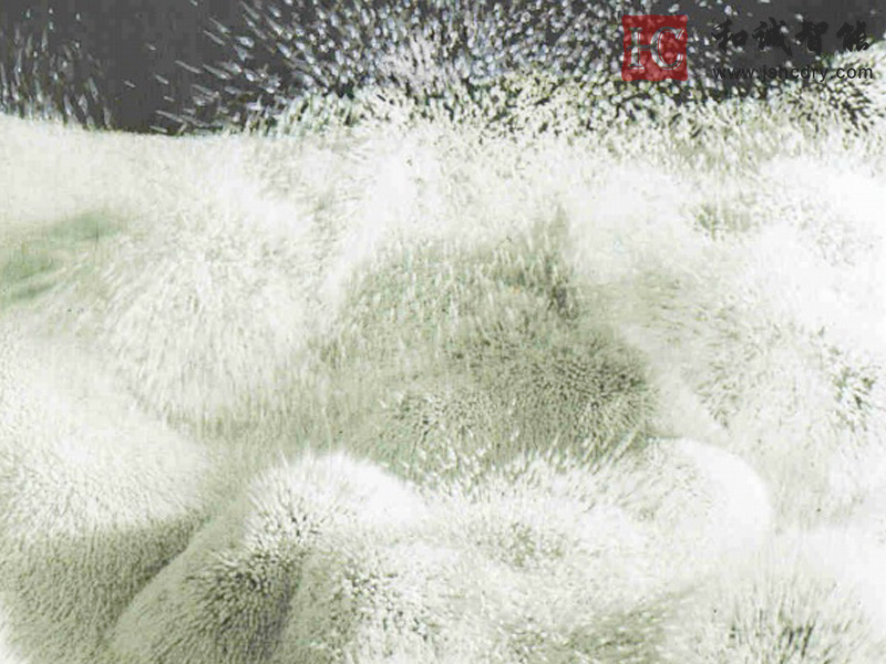 振动流化床干燥机