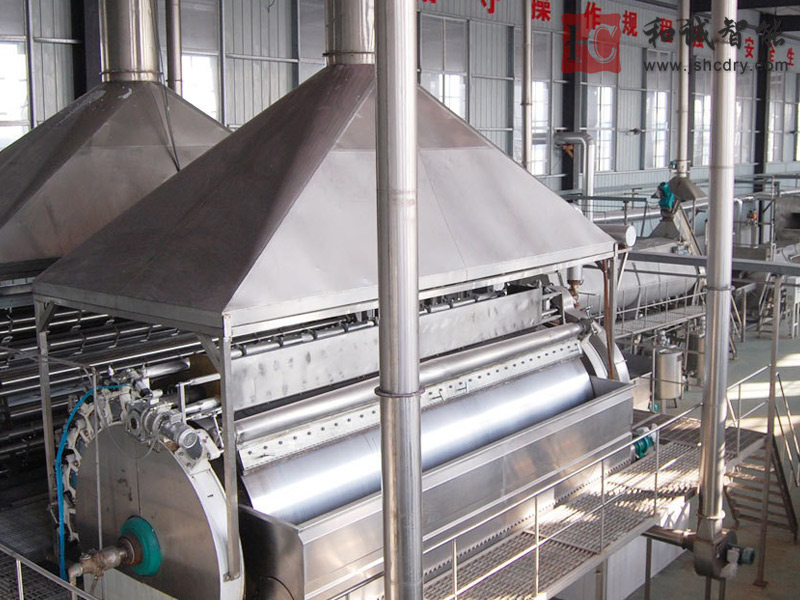 滚筒刮板干燥机