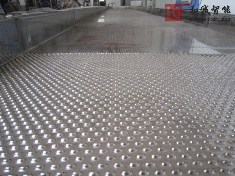 鸡精制粒干燥机